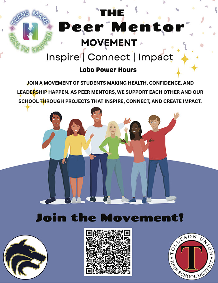 The Peer Mentor Movement flyer