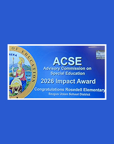 2026 ACSE Impact Award