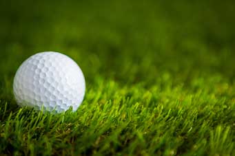 golf ball on the grass