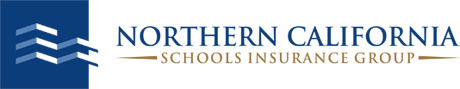 NCSIG Logo