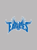 Hondo Valley Public Schools Eagles logo