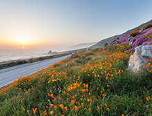 8th Grade Trip Reminders