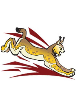 Robles Logo