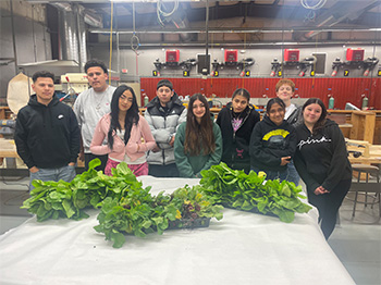 Students by their growing plants