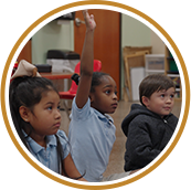 students engaged in learning