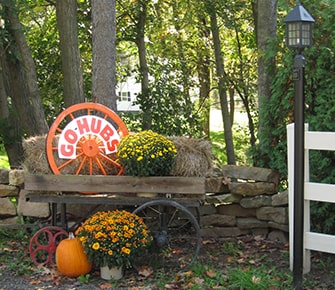Go Hubs fall cart