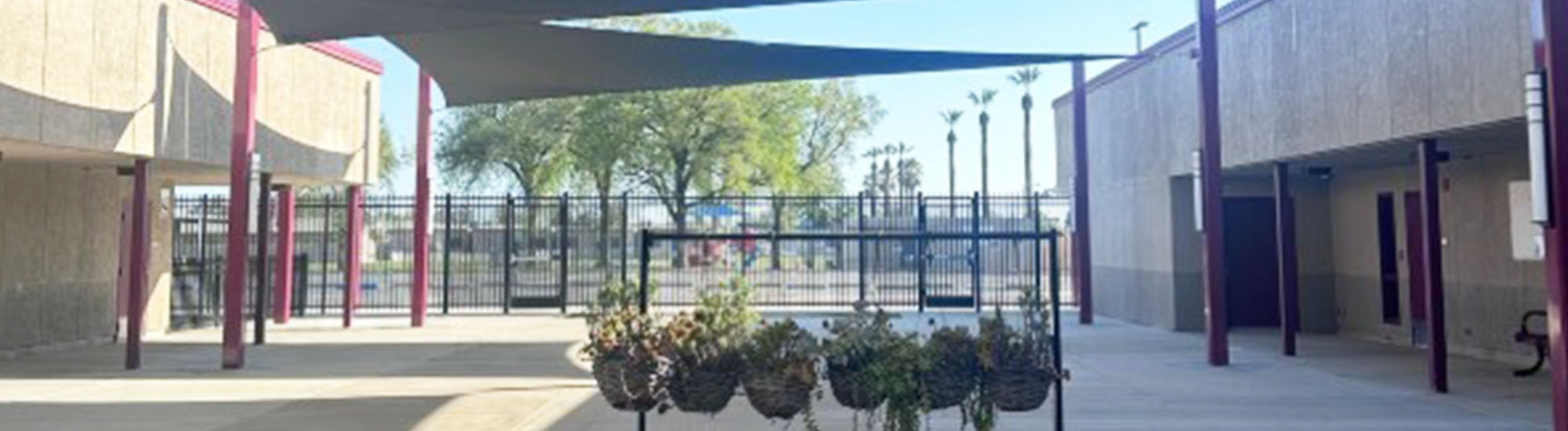 View of school courtyard with hanging plants