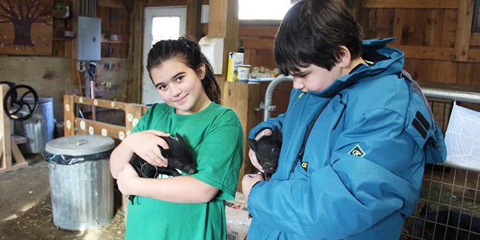 Sixth graders, Junie and Jakob hold piglets at Hawlemont Regional School in Charlemont.