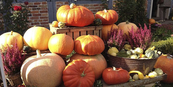 Stacked pumpkins and squash in an outdoor display