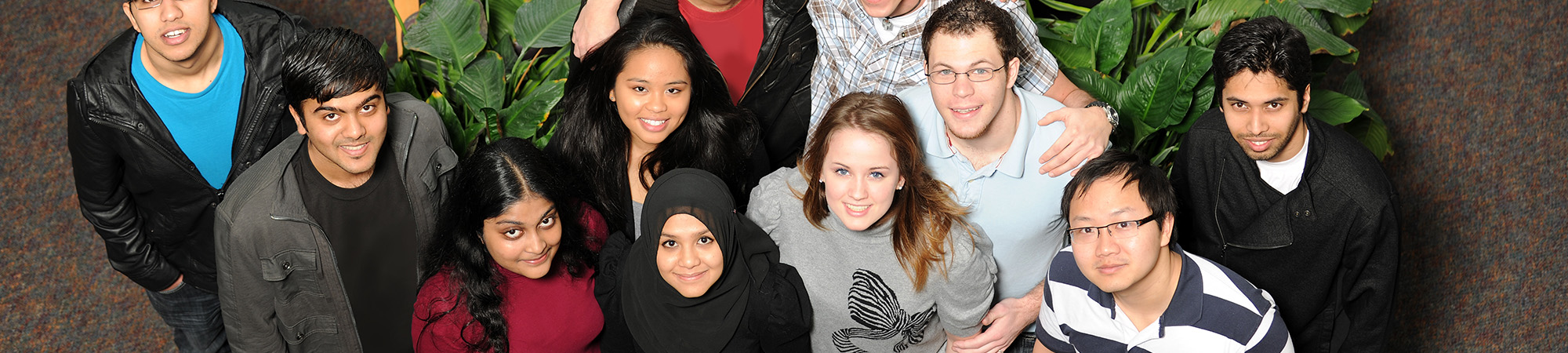 headerphoto-newsposts Walnut_Subpage_Banner_image