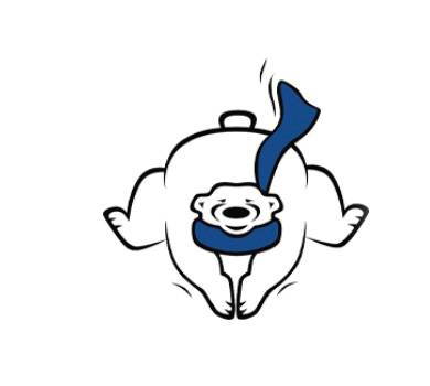 Polor Plunge for Special Olympics Massachusetts logo