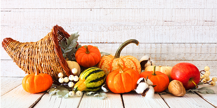 Thanksgiving Cornucopia