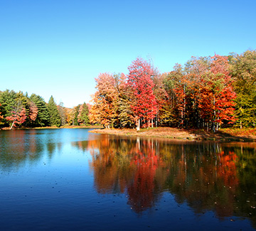 river in autumn
