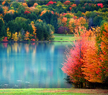 River in autumn