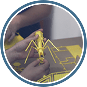 3d printed ant