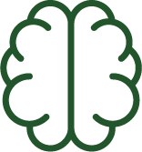 Critical Thinker Brain