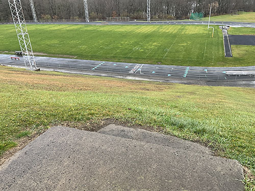 Grass area around the track
