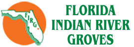 Florida Indian River Groves Florida state logo