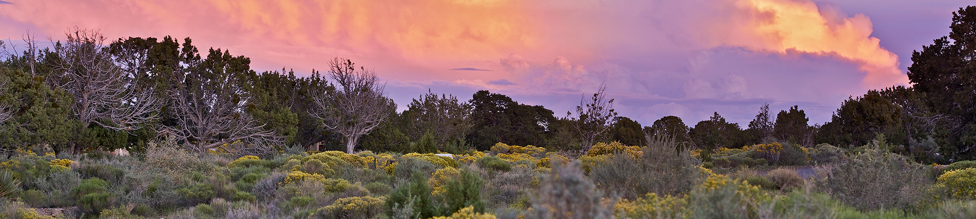 Beautiful Arizona sunset