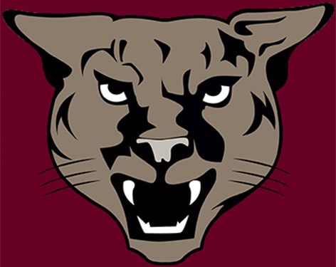 wildcat logo for footer