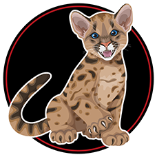 Hillside Elementary Home page