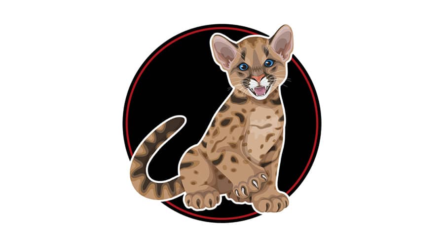 Kindergarten Registration