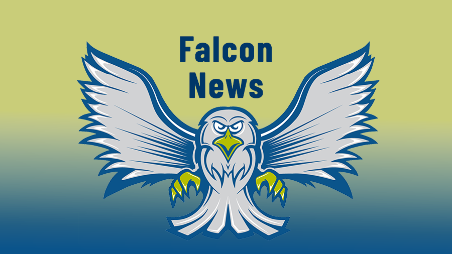 Falcon News