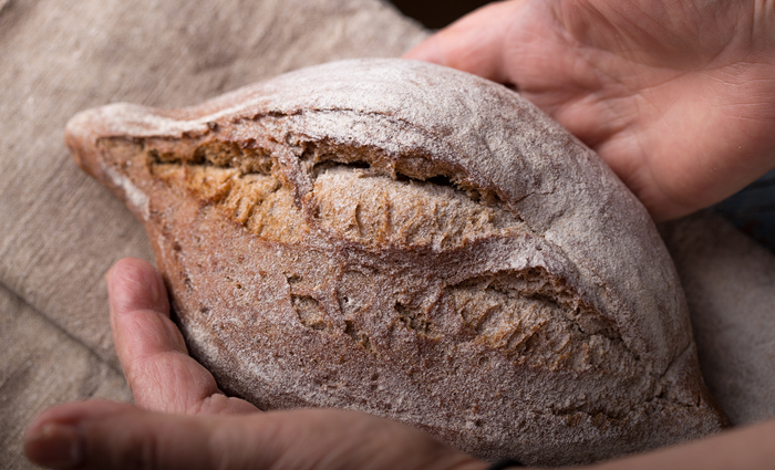 person holding whole grain artisan bread