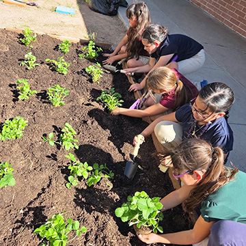 Students outside planting vegetables