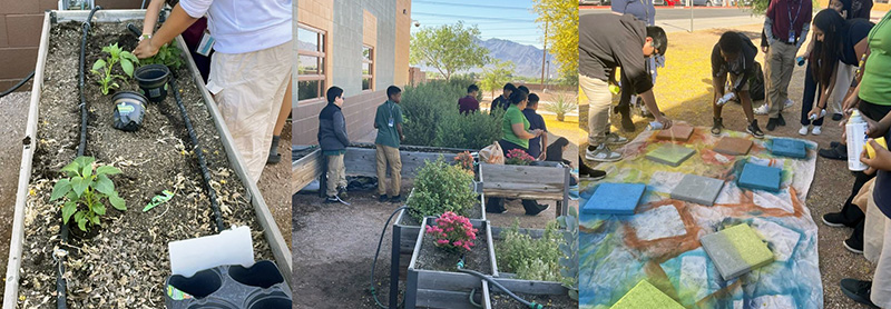 Students tending to their Puma Garden