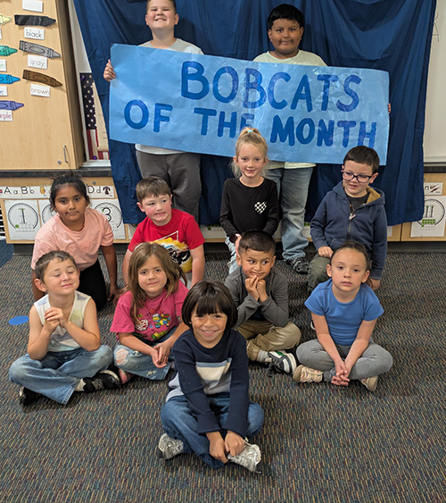 Bobcats of the month for May 2026