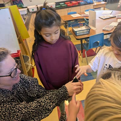 Students petting a chick