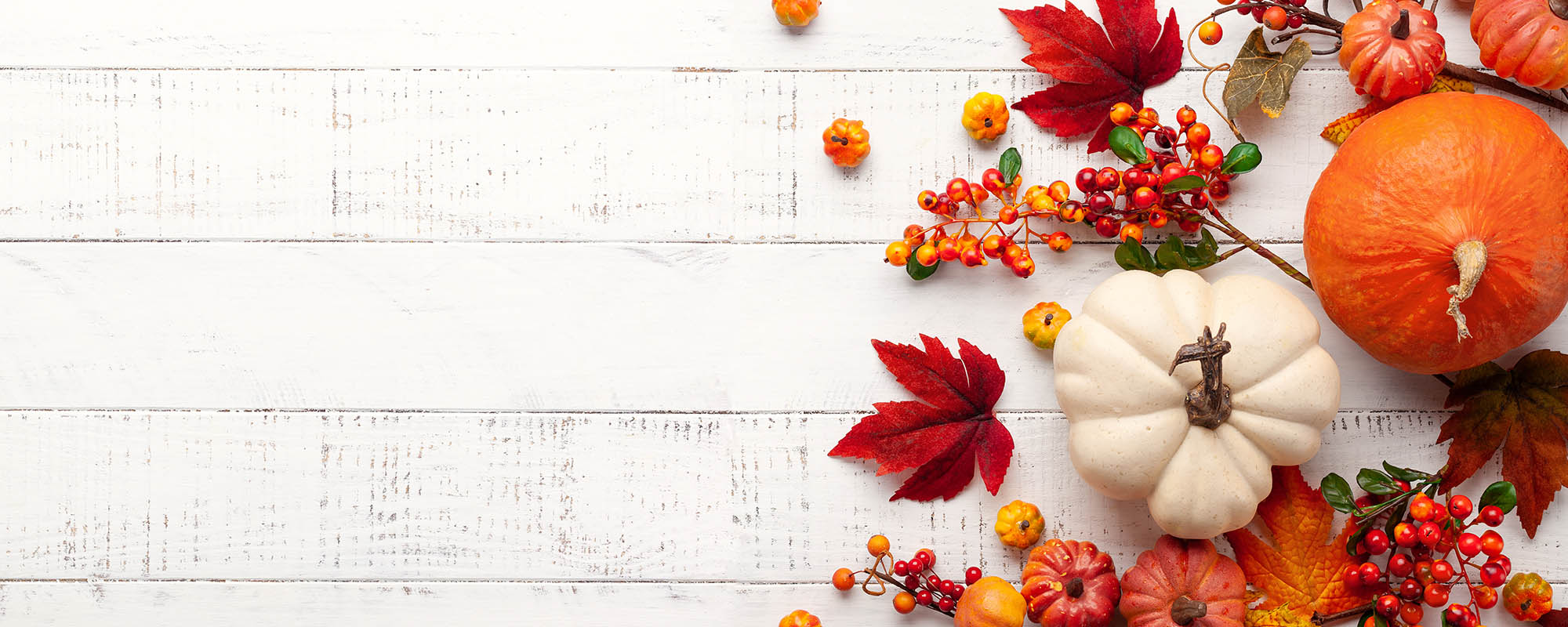 Autumn Leaves, Bright Minds, and Big Dreams