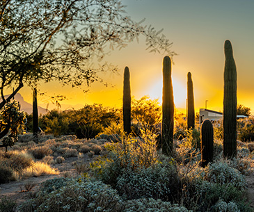 sidebargraphic_BulletinBoard