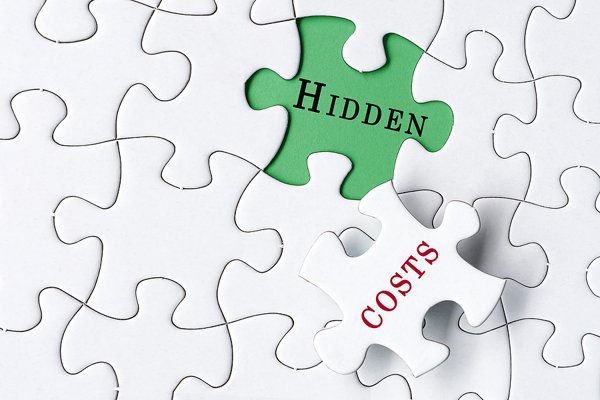 hidden costs of school website management