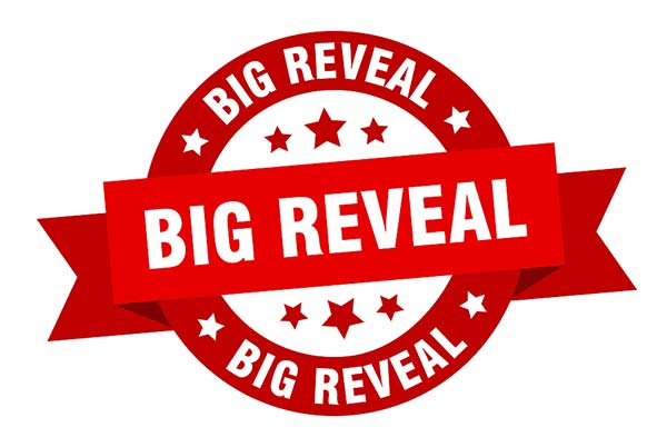 big reveal for for school website