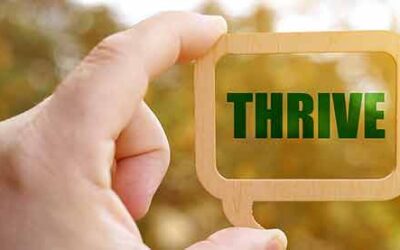 Thriving as a School of ChoiceA Trust-Building, Ethical Playbook for K–12 Leaders