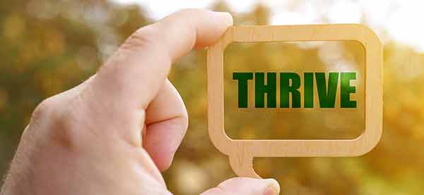 graphic-blog-schoolchoice1 Thriving in School Choice